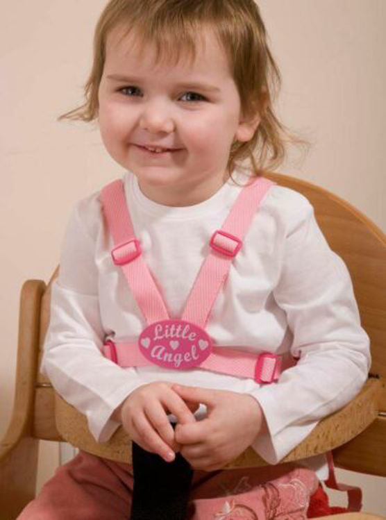Picture of 1566, 10D-Little Angel Harness And Reins